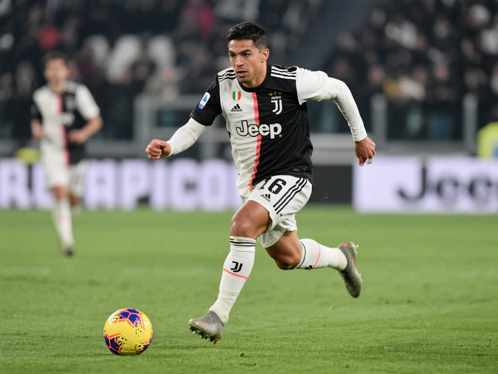 力的完美结 力的完美结